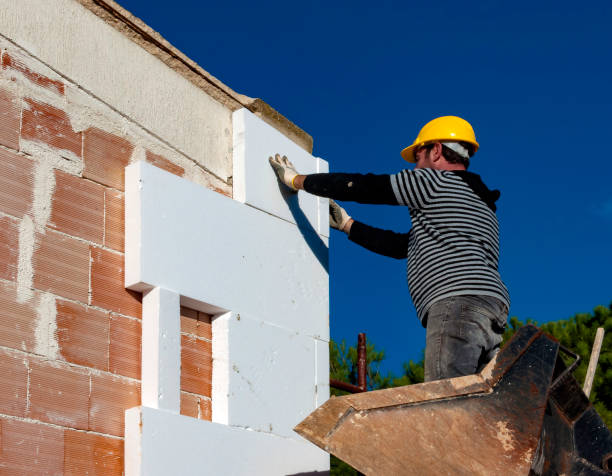 Best Cellulose Insulation  in Steubenville, OH