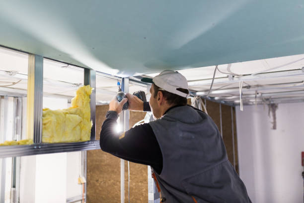 Best Local Insulation Services  in Steubenville, OH