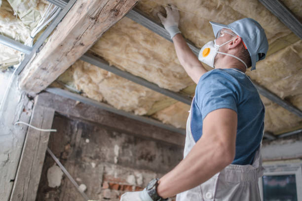 Best Insulation Contractors for Homes  in Steubenville, OH