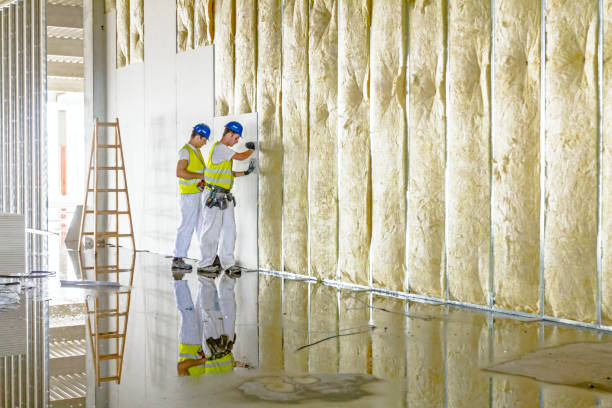 Insulation Inspection Services in Steubenville, OH